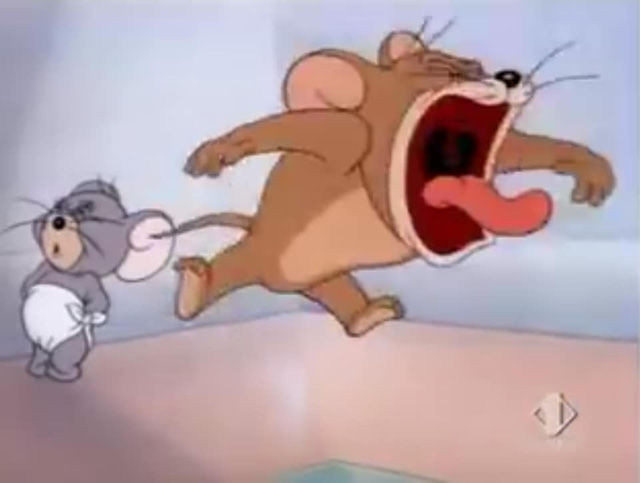 14 bài học cuộc sống soi chiếu từ phim hoạt hình Tom và Jerry, điều số 9 nhiều người đã mắc phải! - Ảnh 2.