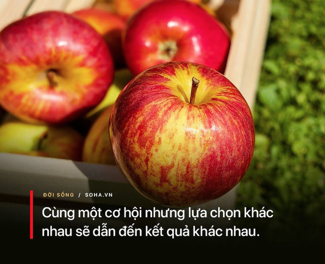 Từ chuyện quả táo, có thể nhận biết một người sẽ giàu hay nghèo: Nên tham khảo nếu muốn trở nên giàu có - Ảnh 2.