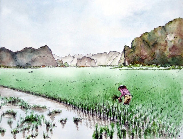  Bộ tranh đẹp quá Việt Nam ơi được vẽ bởi họa sĩ người Pháp, cộng đồng mạng quốc tế thích thú ngắm nhìn một nơi bình dị, an yên nhưng rất tươi đẹp  - Ảnh 4.