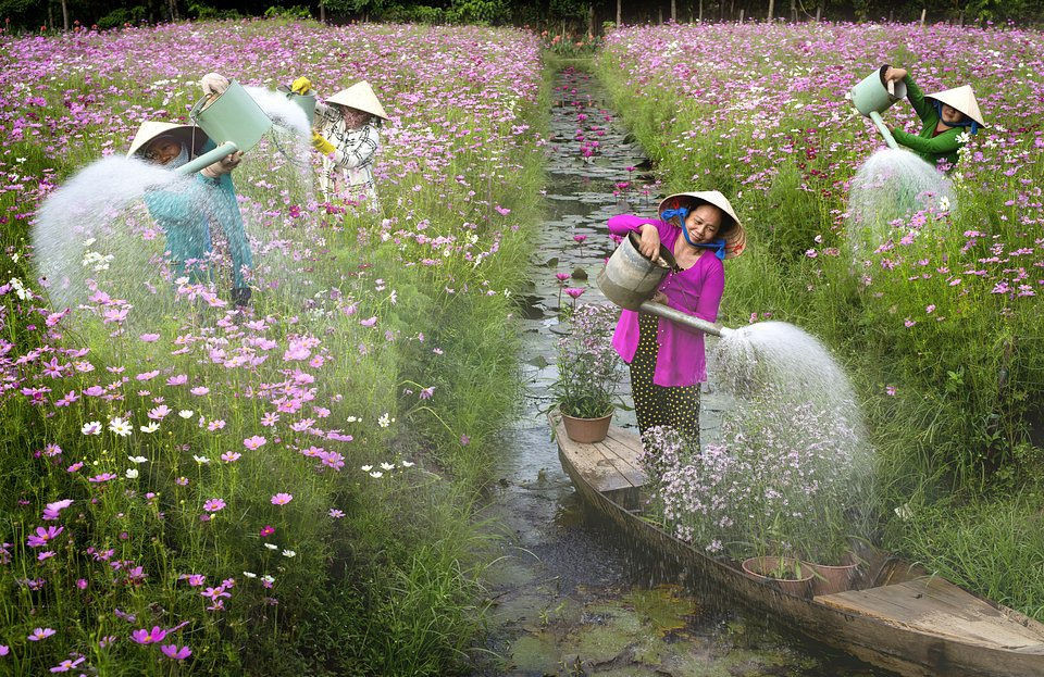 Khoảnh khắc đẹp nhất mùa xuân năm 2020 gọi tên nhiếp ảnh gia Việt Nam - 4