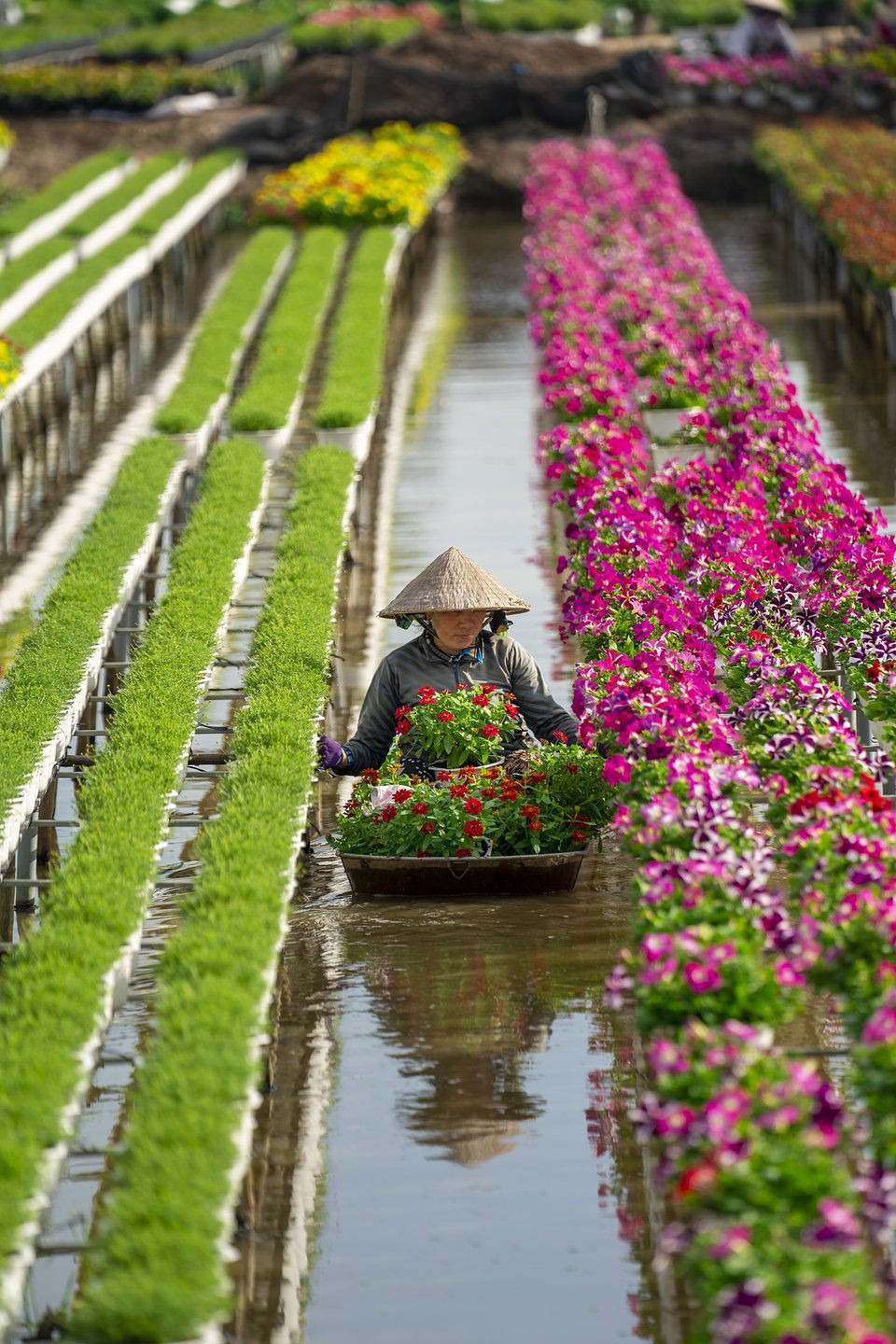 Khoảnh khắc đẹp nhất mùa xuân năm 2020 gọi tên nhiếp ảnh gia Việt Nam - 6