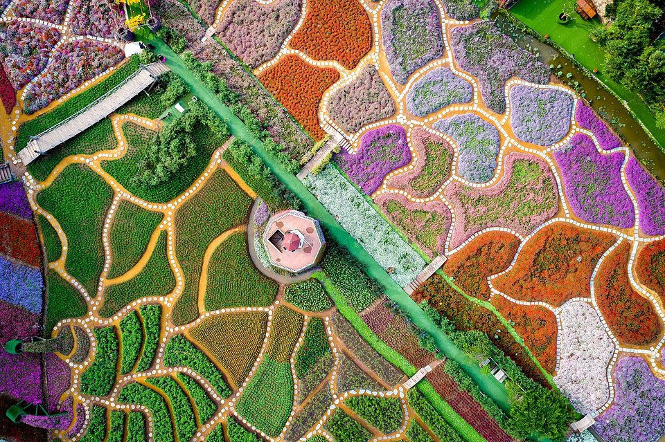 Khoảnh khắc đẹp nhất mùa xuân năm 2020 gọi tên nhiếp ảnh gia Việt Nam - 7