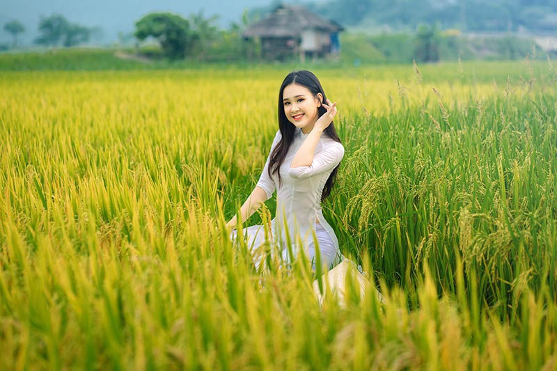 Á khôi Sinh viên Việt Nam khoe nét xuân thì bên cánh đồng lúa - 2