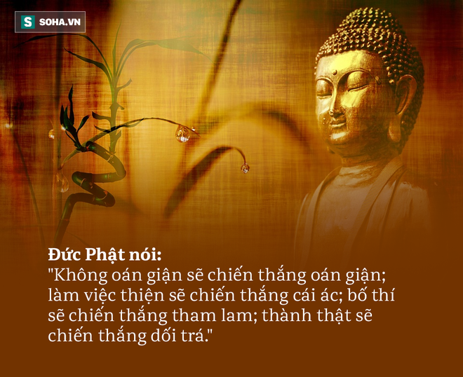  Bị chửi rủa thẳng mặt, phản ứng của Đức Phật khiến đối phương đuối lý, nhận được bài học đáng nhớ - Ảnh 1.