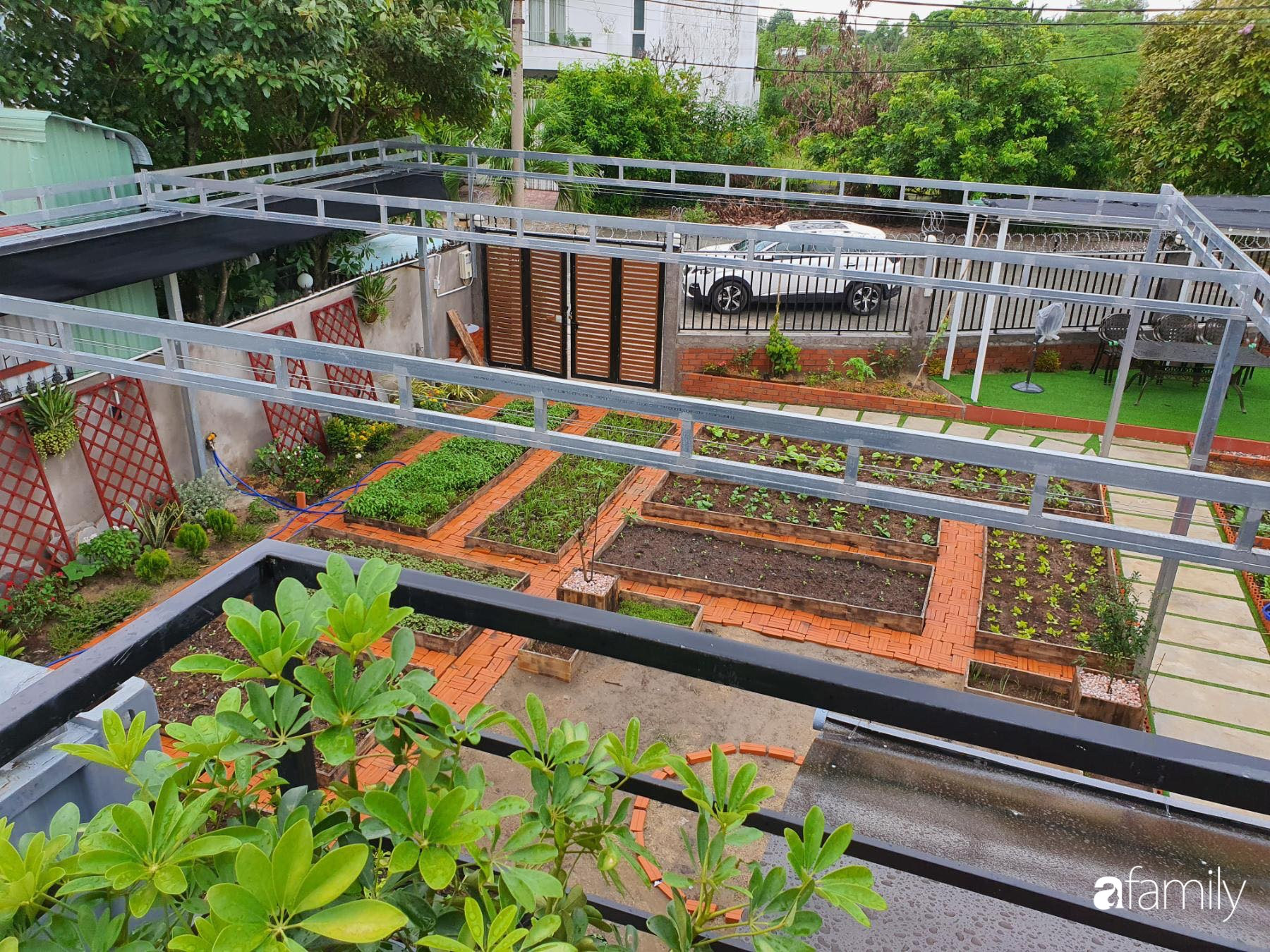 Con gái chi 500 triệu đồng xây nhà vườn container để bố về hưu thỏa mãn đam mê trồng rau ở Sài Gòn - Ảnh 11.