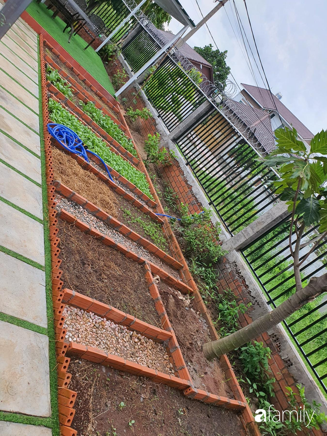 Con gái chi 500 triệu đồng xây nhà vườn container để bố về hưu thỏa mãn đam mê trồng rau ở Sài Gòn - Ảnh 12.