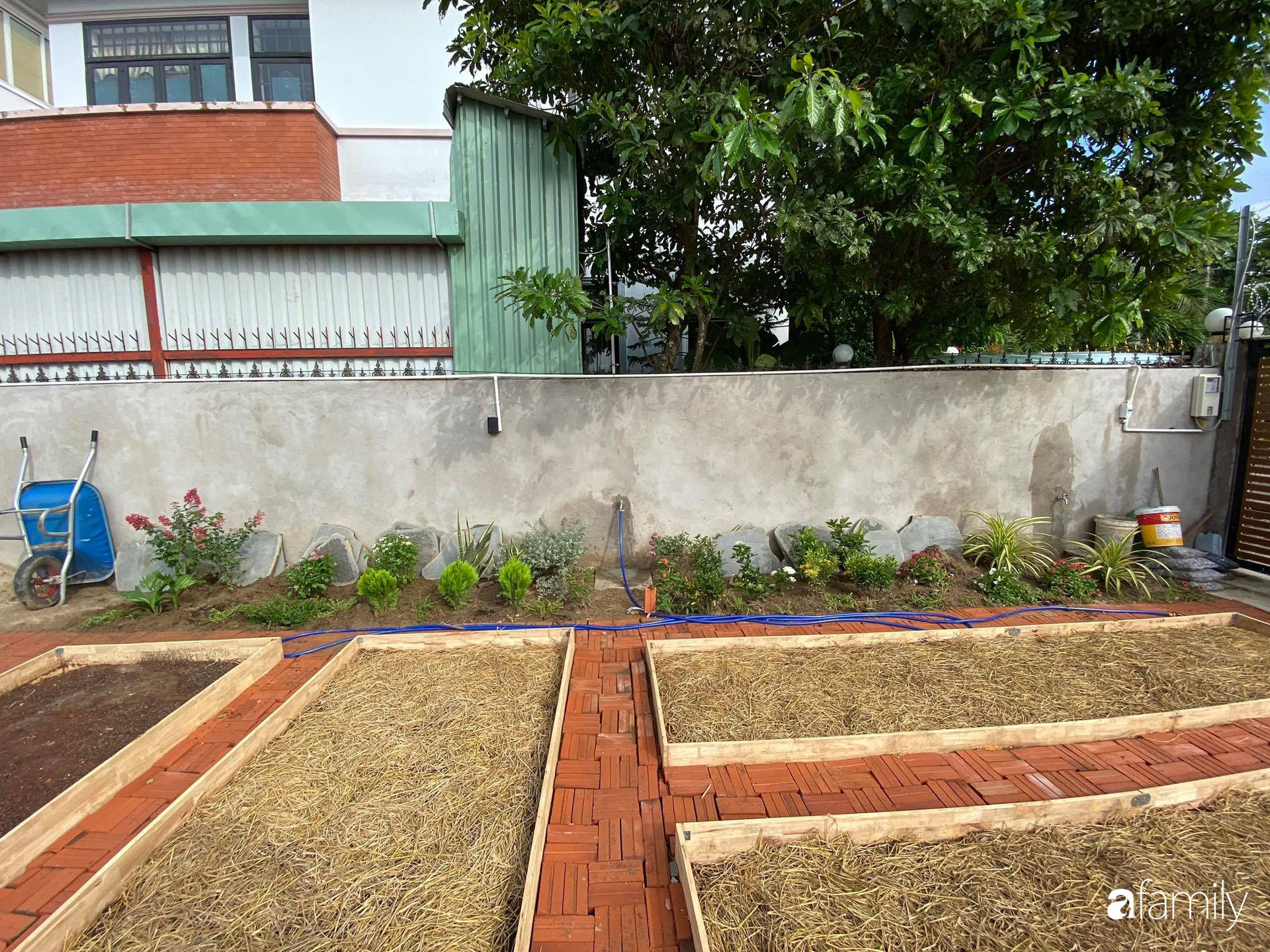 Con gái chi 500 triệu đồng xây nhà vườn container để bố về hưu thỏa mãn đam mê trồng rau ở Sài Gòn - Ảnh 15.