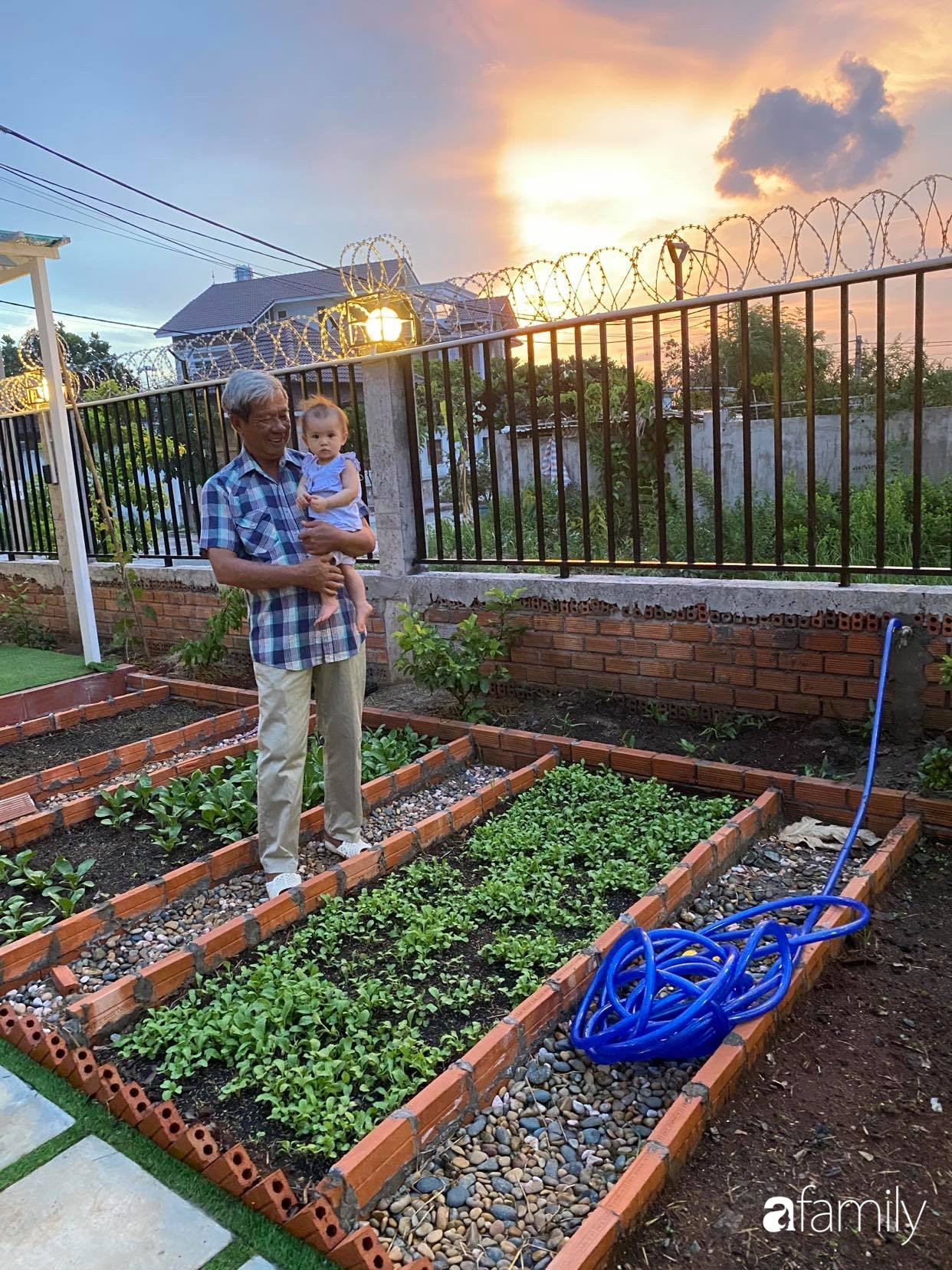Con gái chi 500 triệu đồng xây nhà vườn container để bố về hưu thỏa mãn đam mê trồng rau ở Sài Gòn - Ảnh 17.