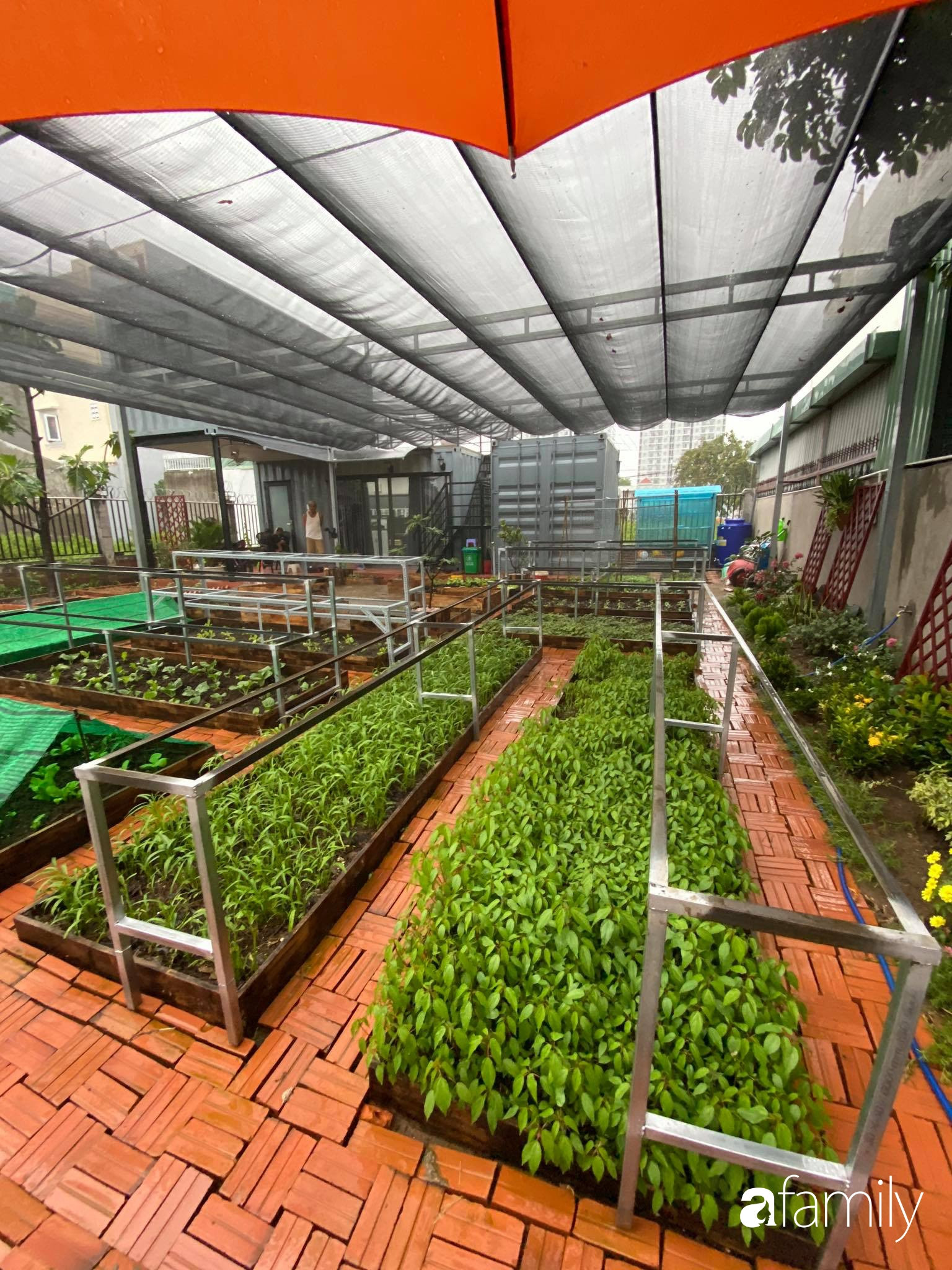 Con gái chi 500 triệu đồng xây nhà vườn container để bố về hưu thỏa mãn đam mê trồng rau ở Sài Gòn - Ảnh 19.