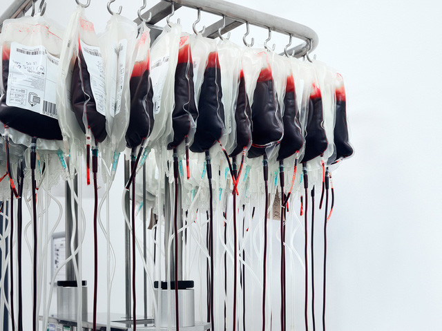 Những người sở hữu nhóm máu hiếm nhất thế giới, được ví quý như vàng: Cuộc sống luôn đầy rủi ro, nhưng chưa bao giờ ngần ngại hiến máu cứu người - Ảnh 1.