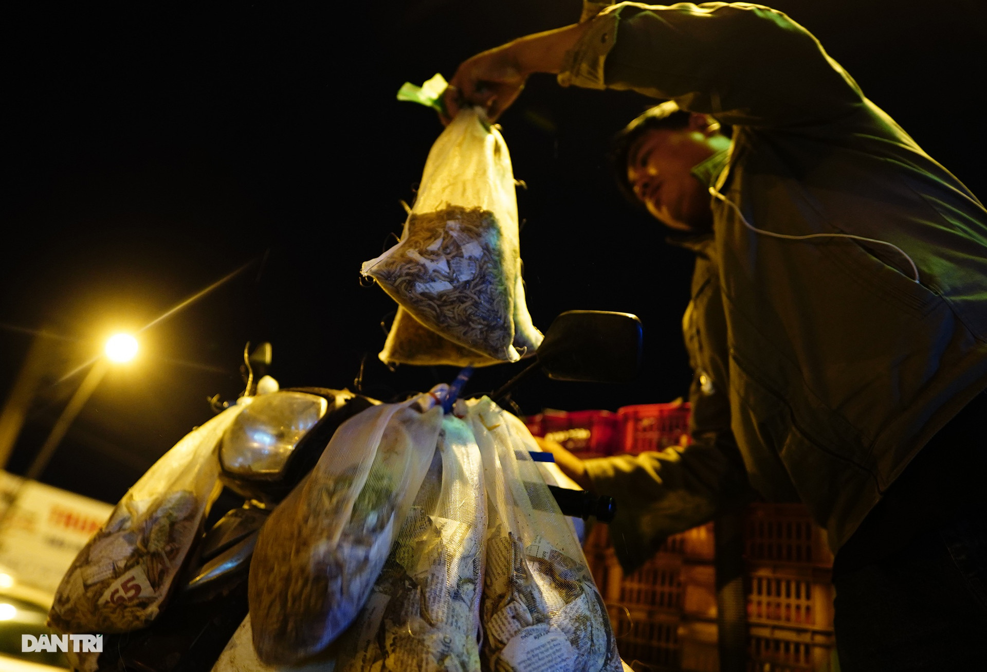 Chợ côn trùng ở Sài Gòn ngày họp 2 tiếng, tan trước hừng đông - 8