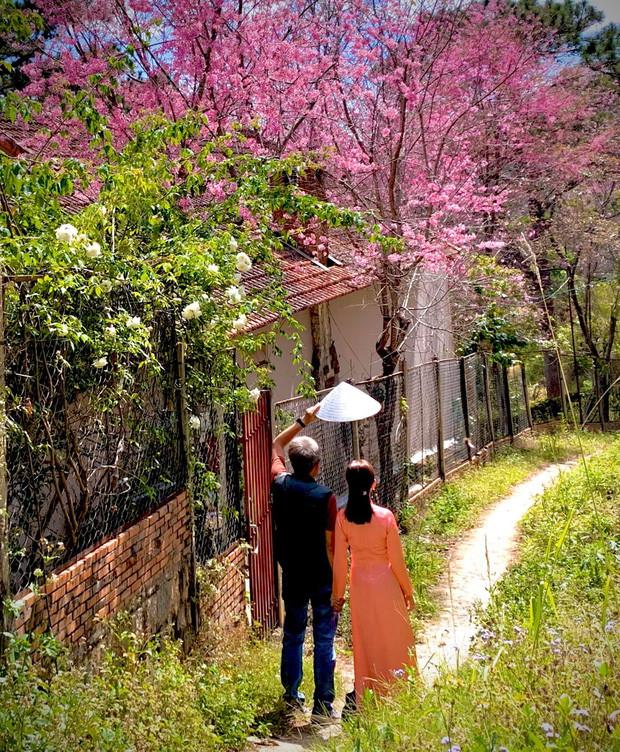 Rời Sài Gòn, cặp vợ chồng lên Đà Lạt xây ngôi nhà hướng mặt ra thung lũng, nhìn vườn hoa đào đẹp như cổ tích mà mê mệt - Ảnh 3.