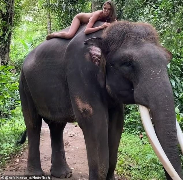 Chụp ảnh khỏa thân trên lưng voi, cô gái bị cộng đồng mạng chỉ trích - 1