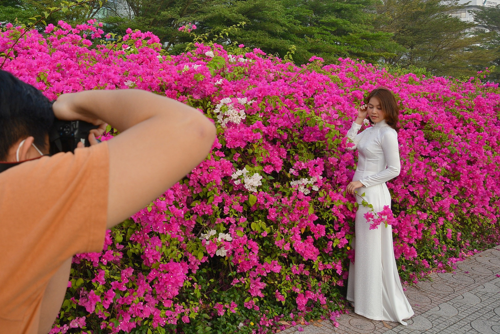 Giới trẻ tha hồ sống ảo bên tường hoa giấy cực đẹp ở Sài Gòn - 5