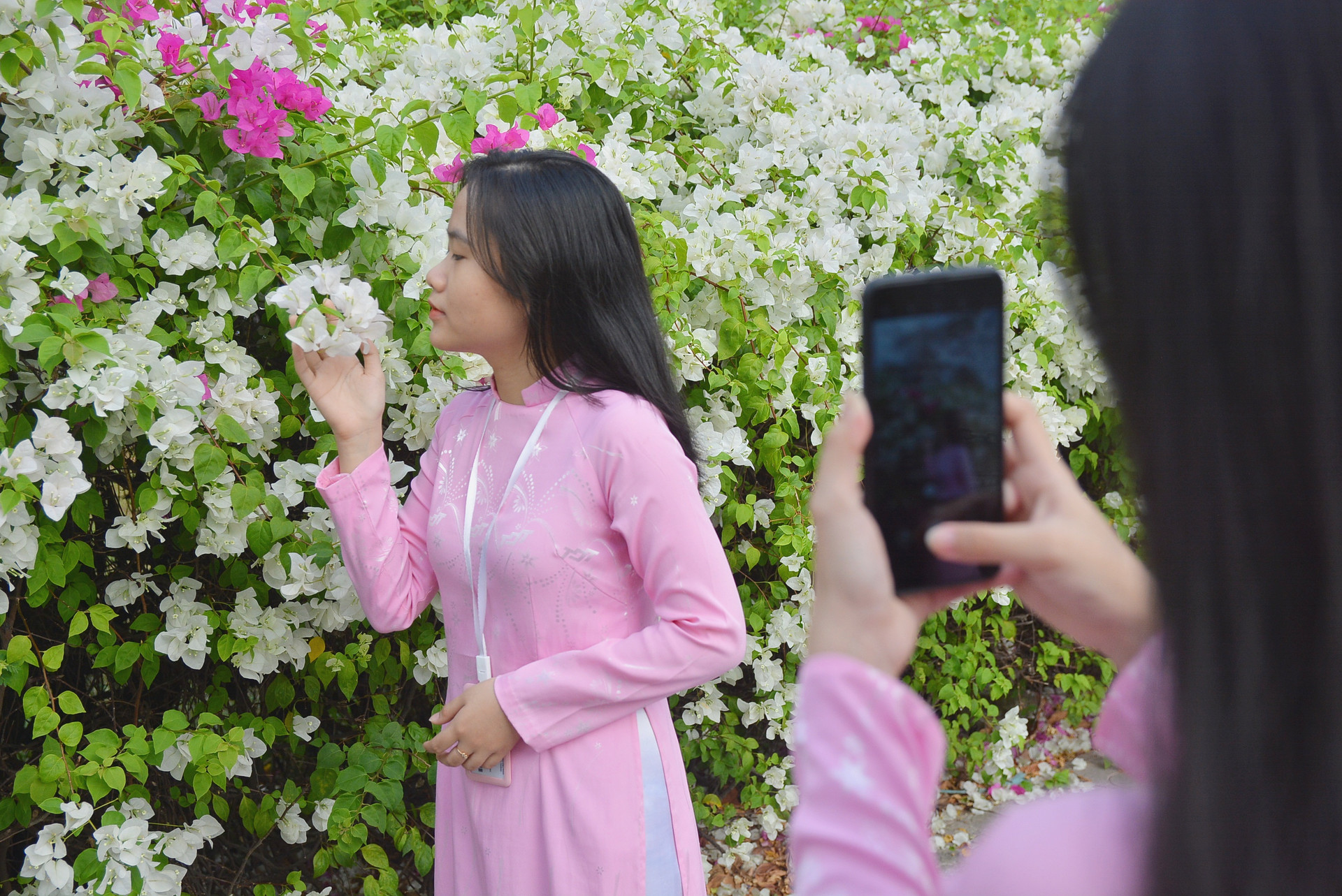 Giới trẻ tha hồ sống ảo bên tường hoa giấy cực đẹp ở Sài Gòn - 10