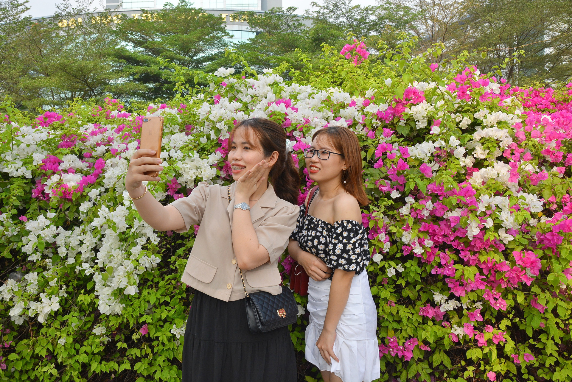 Giới trẻ tha hồ sống ảo bên tường hoa giấy cực đẹp ở Sài Gòn - 12