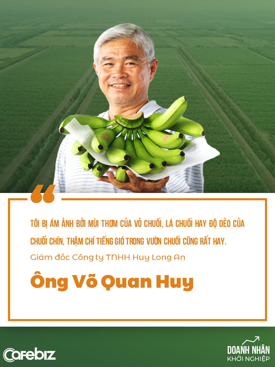 Út Huy - Từ cậu bé 14 tuổi đi cày thuê thành Vua chuối: Hơn 20 lần khởi nghiệp với đủ cây trồng vật nuôi, không đếm hết số lần thất bại - Ảnh 3.