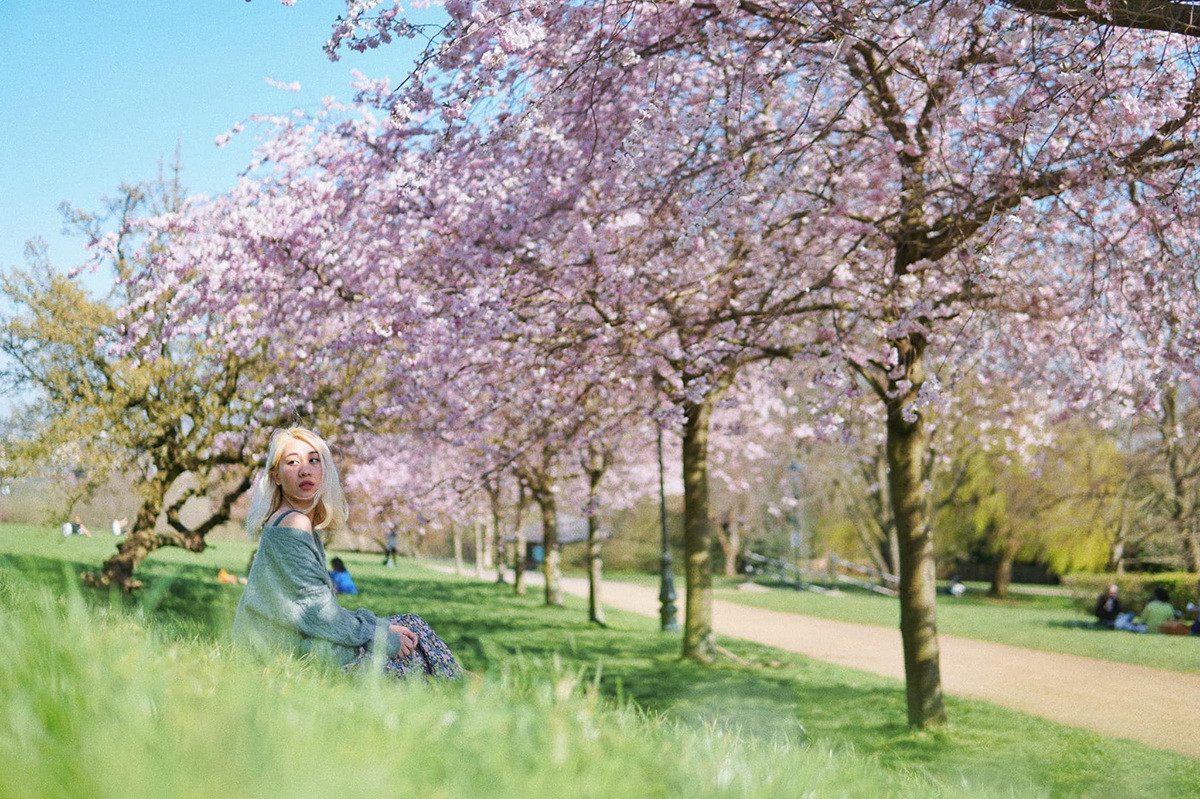 Mùa hoa anh đào đẹp nao lòng qua góc nhìn nữ sinh Việt tại Anh - 6