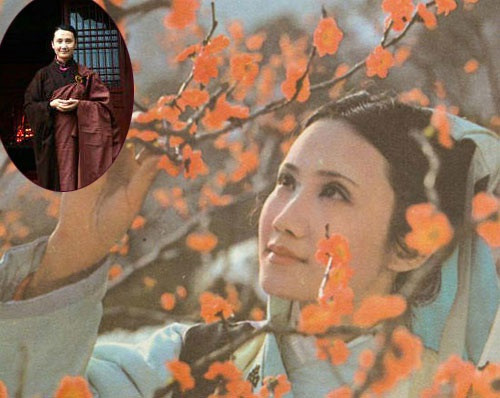 Cuộc đời thăng trầm của dàn diễn viên Hồng Lâu Mộng sau 34 năm - 15