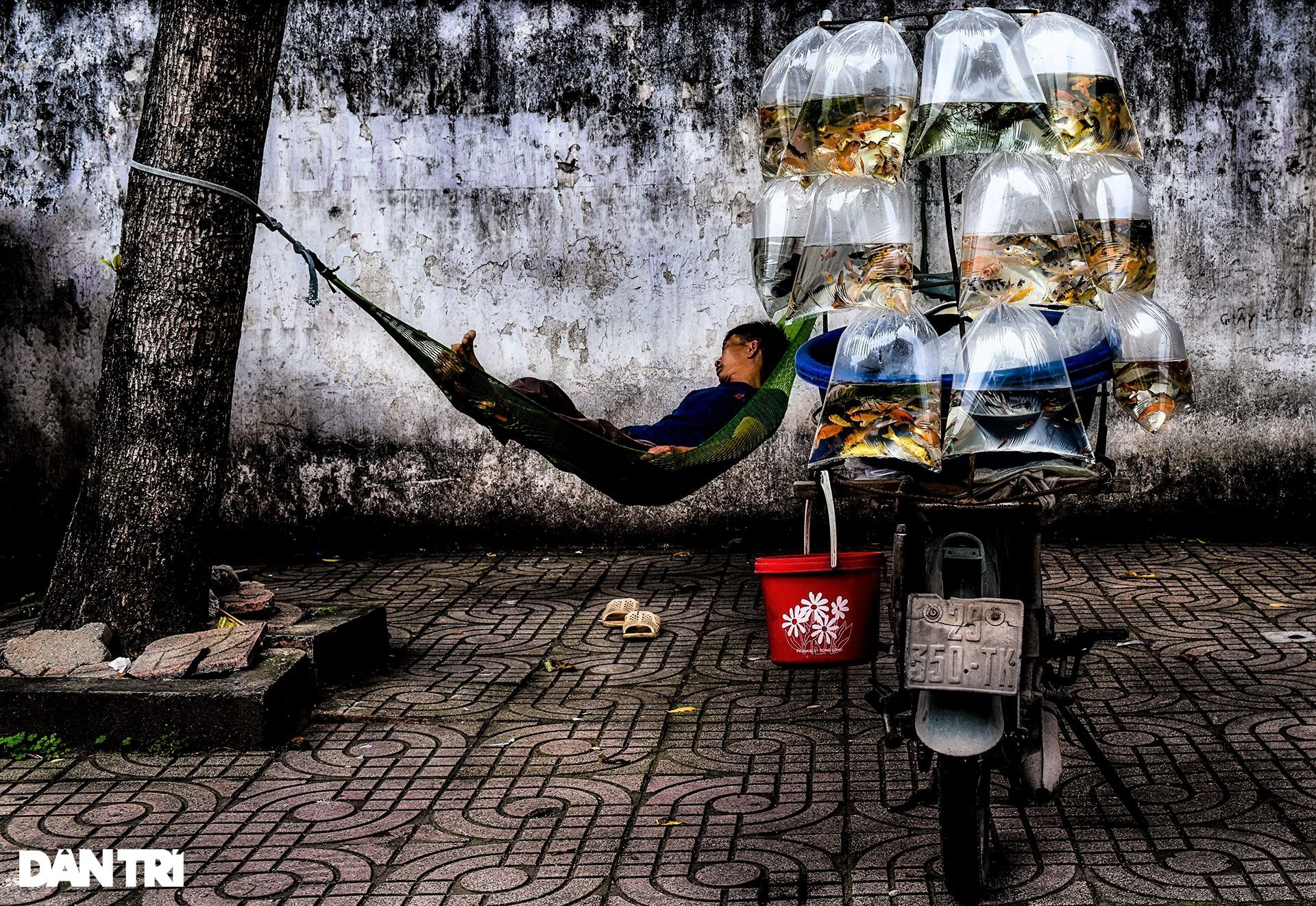 Nghệ sĩ nhiếp ảnh Việt Nam giành 2 huy chương cuộc thi ảnh quốc tế - 2