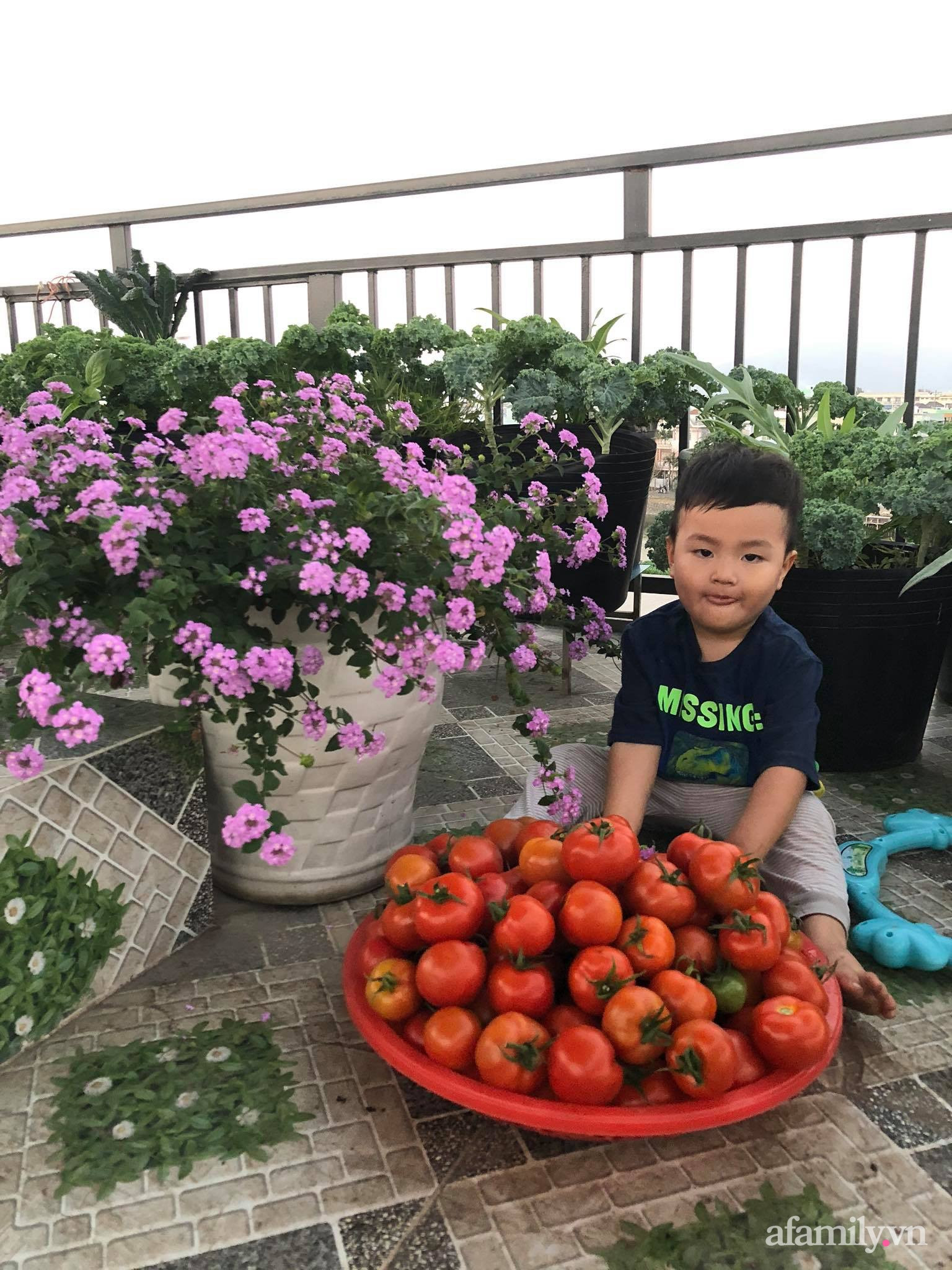 Sân thượng 100m² xanh tươi rau quả sạch của mẹ đảm ở Đà Nẵng - Ảnh 7.