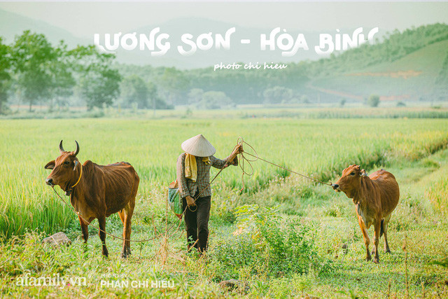  Ngôi làng độc nhất Việt Nam sở hữu CHIẾC CỔNG CÒN SỐNG SUỐT 800 NĂM, được công nhận là di sản và là bối cảnh của không biết bao nhiêu bộ phim đình đám  - Ảnh 13.