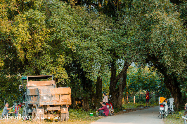  Ngôi làng độc nhất Việt Nam sở hữu CHIẾC CỔNG CÒN SỐNG SUỐT 800 NĂM, được công nhận là di sản và là bối cảnh của không biết bao nhiêu bộ phim đình đám  - Ảnh 9.
