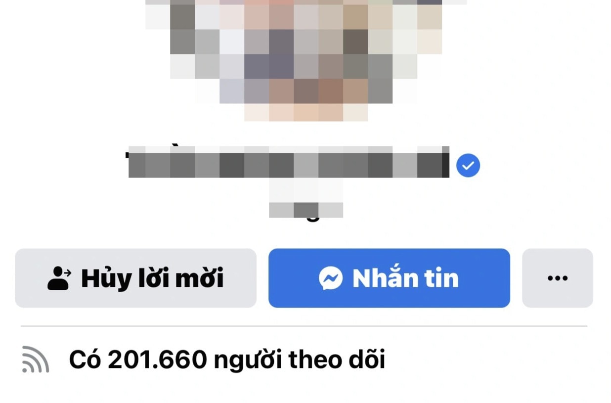 Bỏ hàng trăm triệu đồng làm tích xanh Facebook, nên hay không? - 1