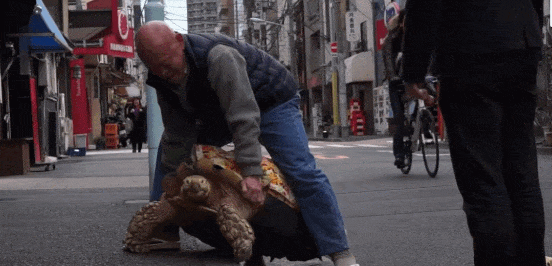 Ông lão người Nhật nuôi con rùa nặng 70kg, quãng đường 5 phút đi mất 3 tiếng: Sống chậm lại, cuộc đời quả thực đáng yêu hơn bạn nghĩ - Ảnh 18.