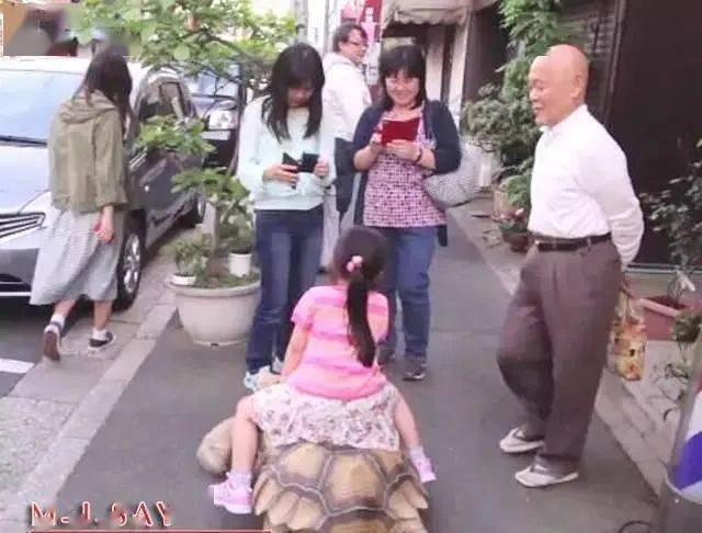 Ông lão người Nhật nuôi con rùa nặng 70kg, quãng đường 5 phút đi mất 3 tiếng: Sống chậm lại, cuộc đời quả thực đáng yêu hơn bạn nghĩ - Ảnh 17.