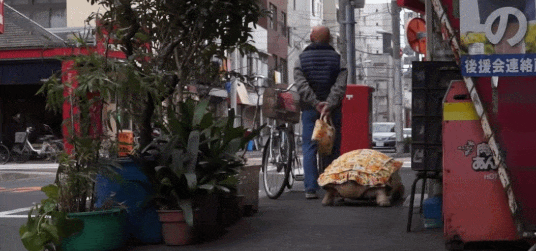 Ông lão người Nhật nuôi con rùa nặng 70kg, quãng đường 5 phút đi mất 3 tiếng: Sống chậm lại, cuộc đời quả thực đáng yêu hơn bạn nghĩ - Ảnh 23.