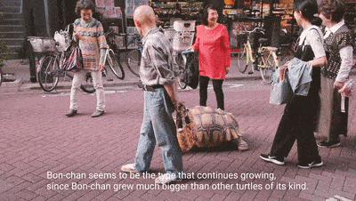 Ông lão người Nhật nuôi con rùa nặng 70kg, quãng đường 5 phút đi mất 3 tiếng: Sống chậm lại, cuộc đời quả thực đáng yêu hơn bạn nghĩ - Ảnh 2.