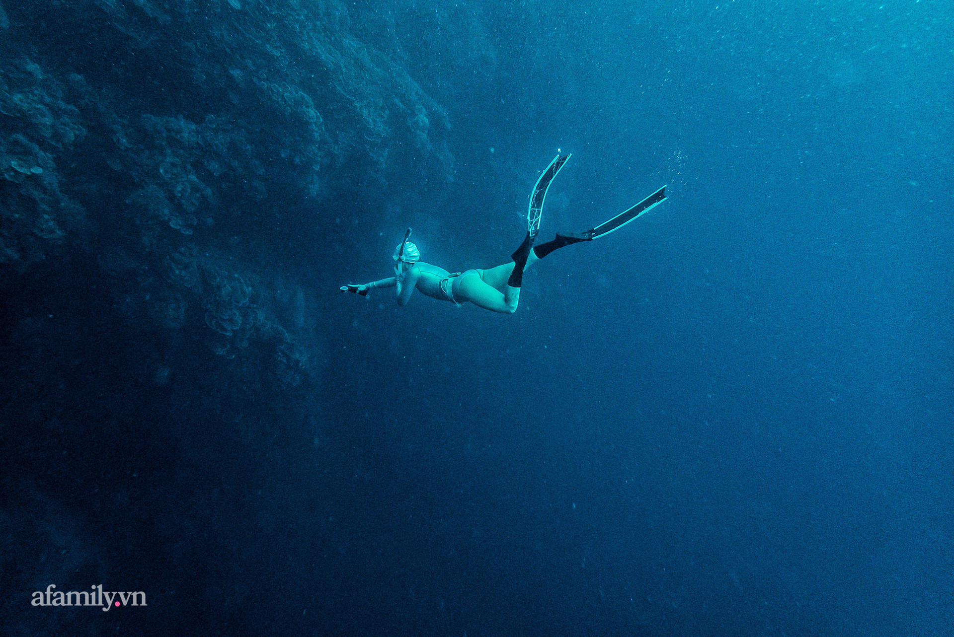  Zen Le - Cô gái Sài Gòn đam mê thể thao lặn biển đích thân trải nghiệm những tầng đại dương nguy hiểm mà không phải ai cũng được tới  - Ảnh 12.