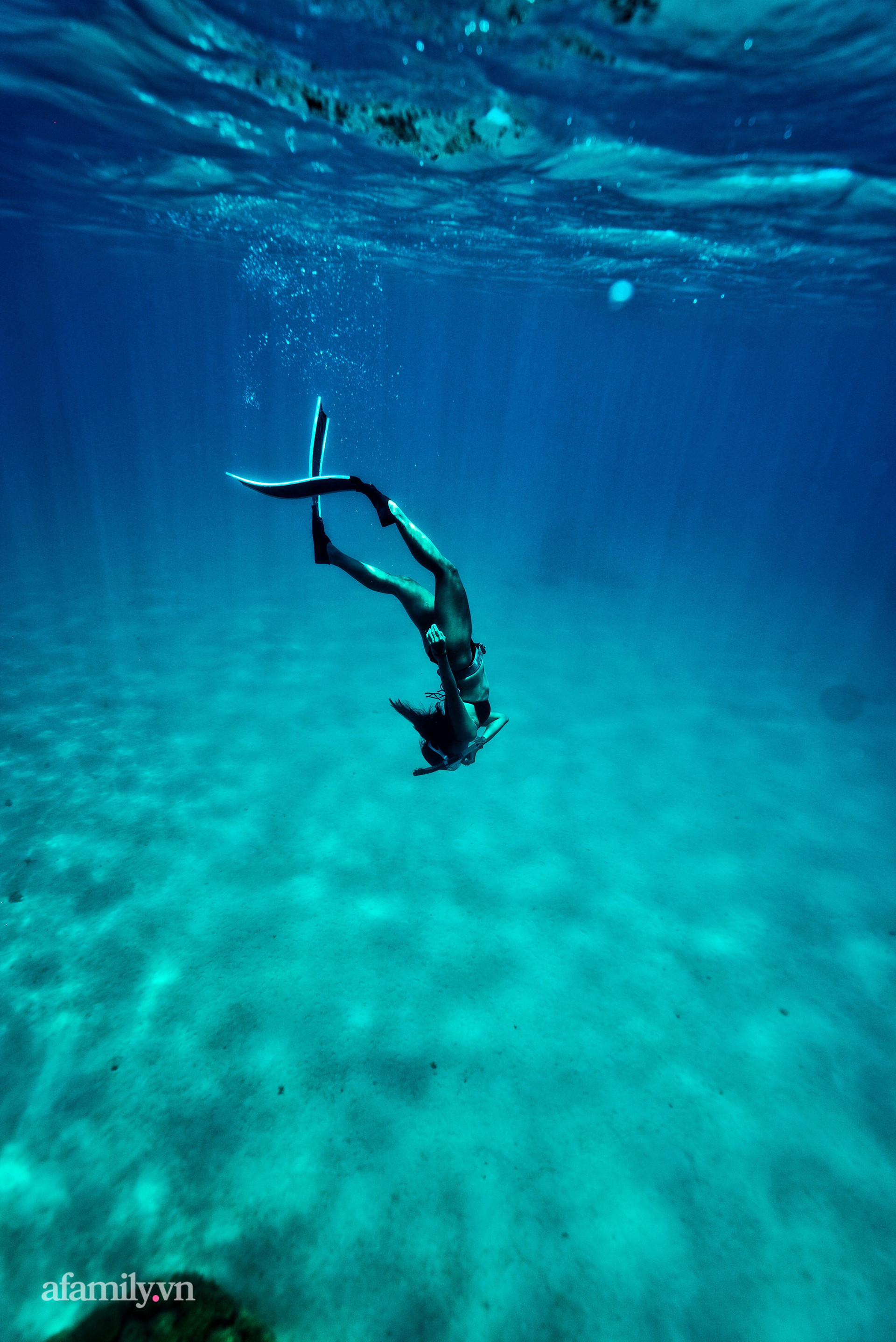  Zen Le - Cô gái Sài Gòn đam mê thể thao lặn biển đích thân trải nghiệm những tầng đại dương nguy hiểm mà không phải ai cũng được tới  - Ảnh 4.