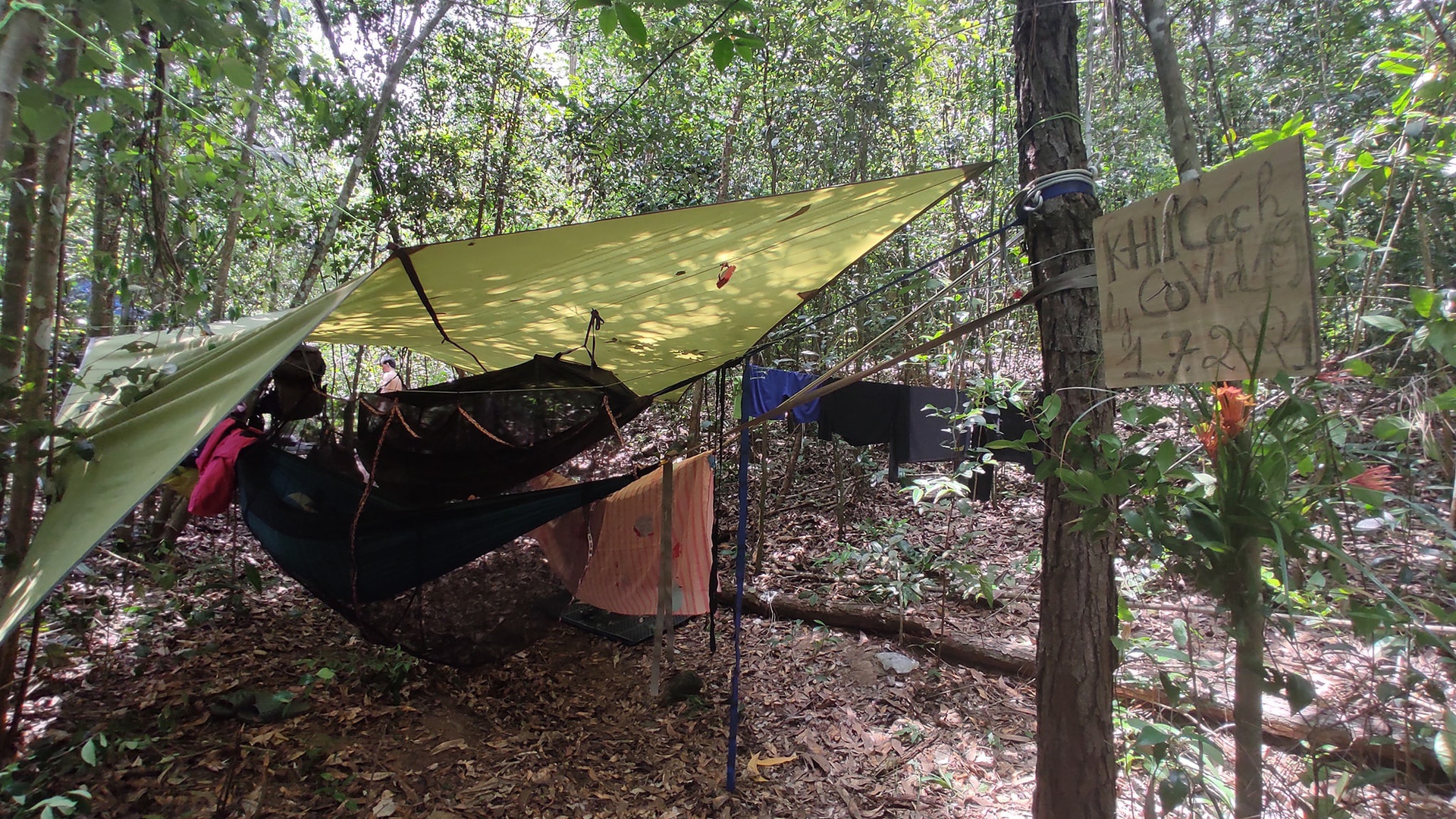 Câu chuyện của nhóm bạn cắm trại trong rừng sâu trốn dịch Covid-19 - 1