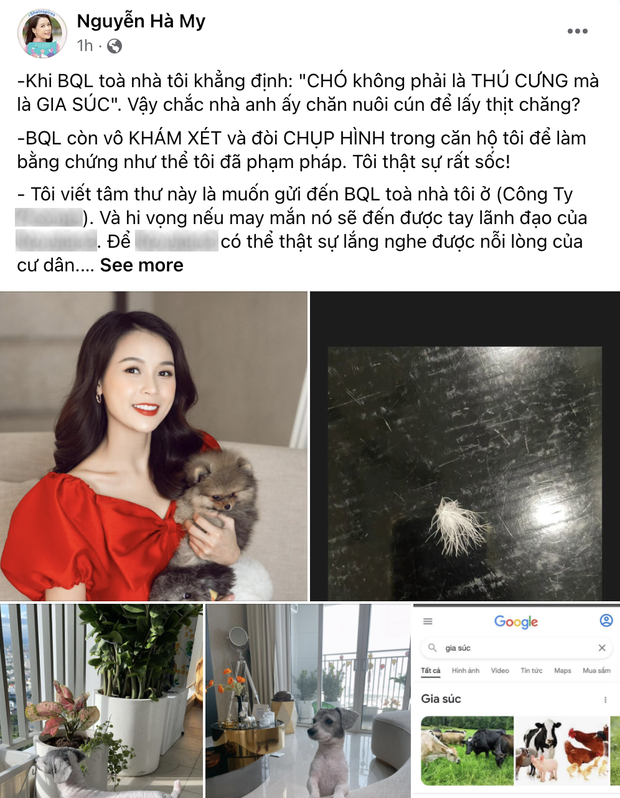 Nữ MC chuyển nhà vì 2 chú cún và chuyện không hồi kết thú cưng ở chung cư - 1