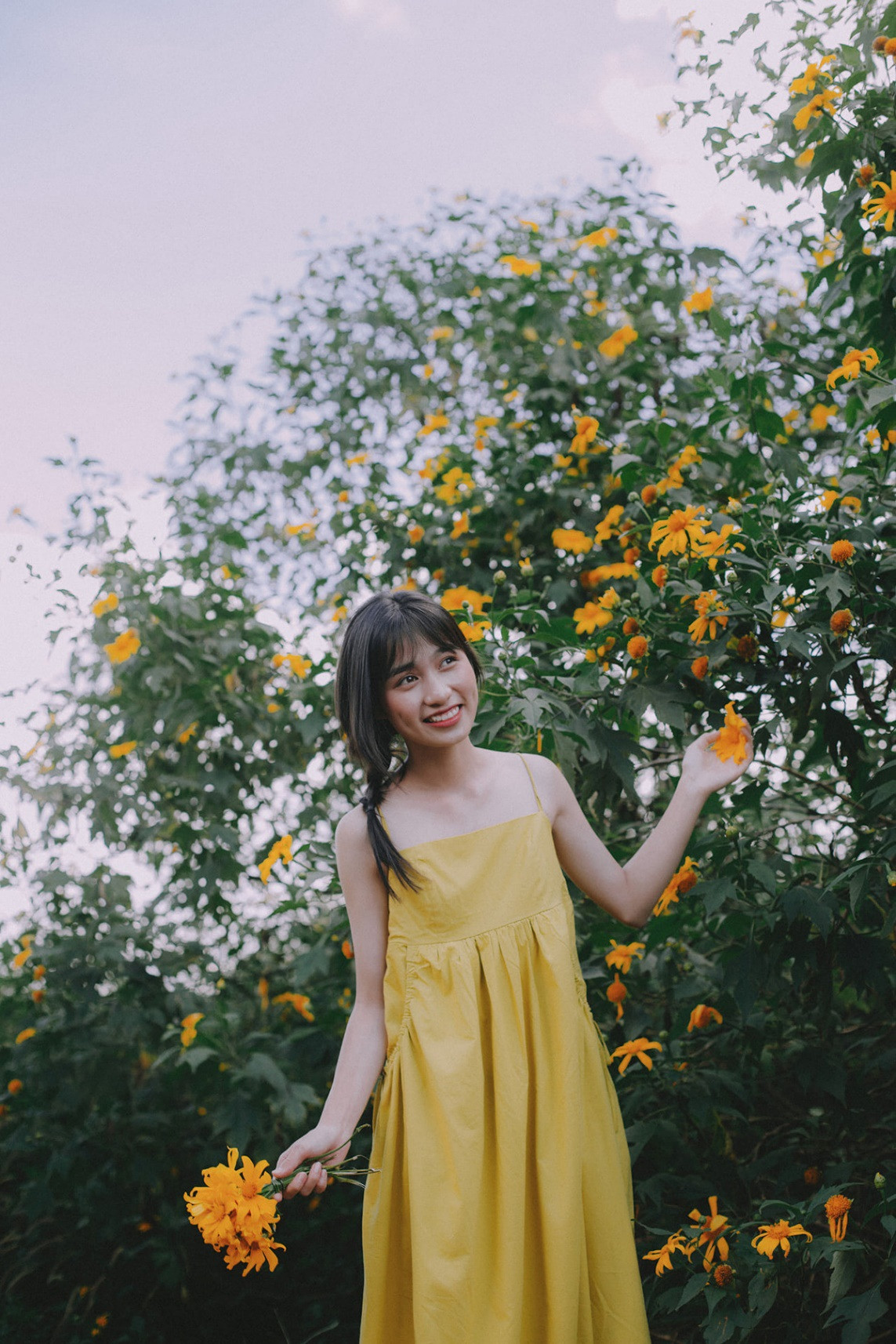 Ngắm mùa hoa dã quỳ vàng rực rỡ của thiếu nữ xứ Nghệ - 5
