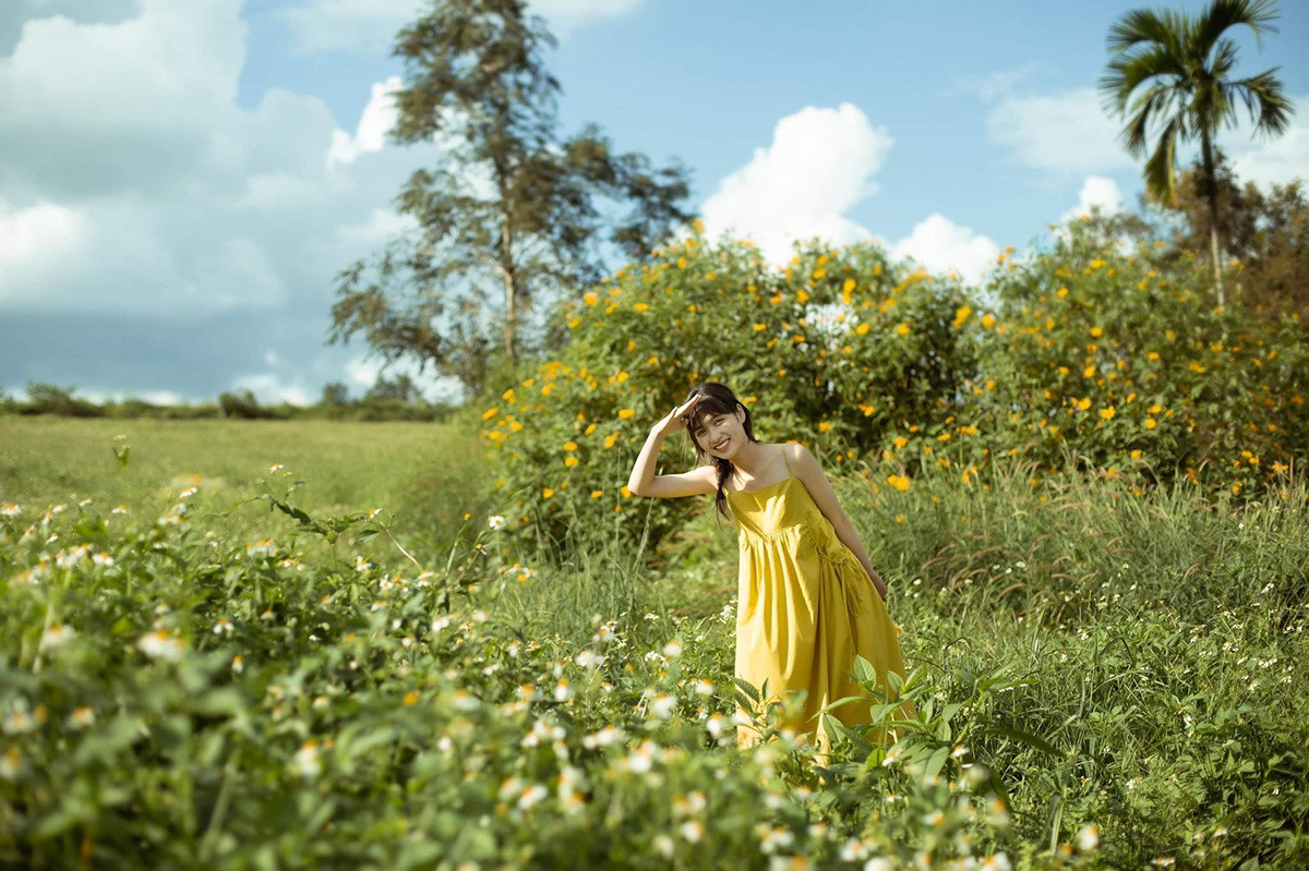 Ngắm mùa hoa dã quỳ vàng rực rỡ của thiếu nữ xứ Nghệ - 11
