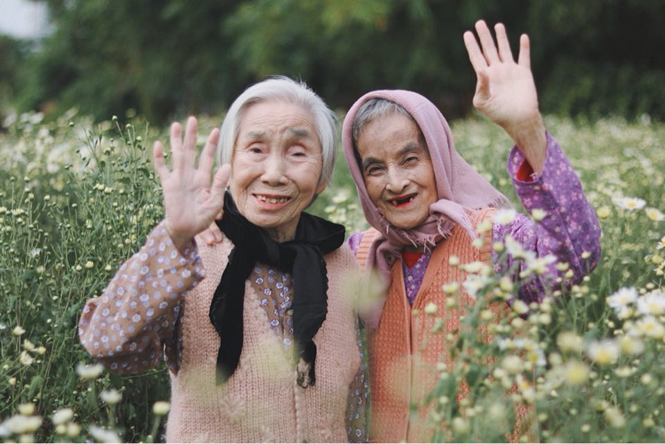 Bộ ảnh tình bạn già trong vườn hoa cúc họa mi gây sốt mạng xã hội - 1