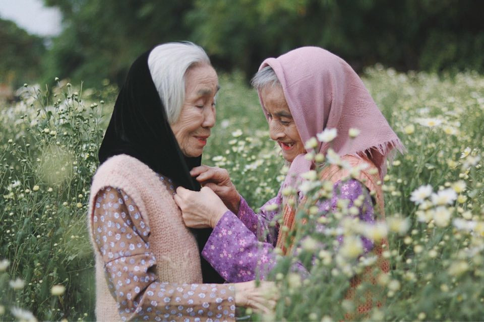 Bộ ảnh tình bạn già trong vườn hoa cúc họa mi gây sốt mạng xã hội - 3