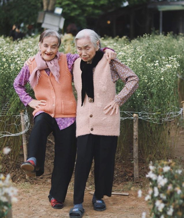 Bộ ảnh tình bạn già trong vườn hoa cúc họa mi gây sốt mạng xã hội - 4