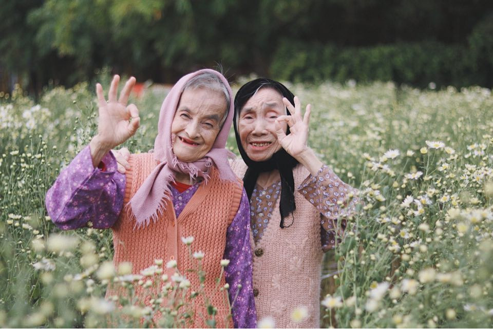 Bộ ảnh tình bạn già trong vườn hoa cúc họa mi gây sốt mạng xã hội - 5