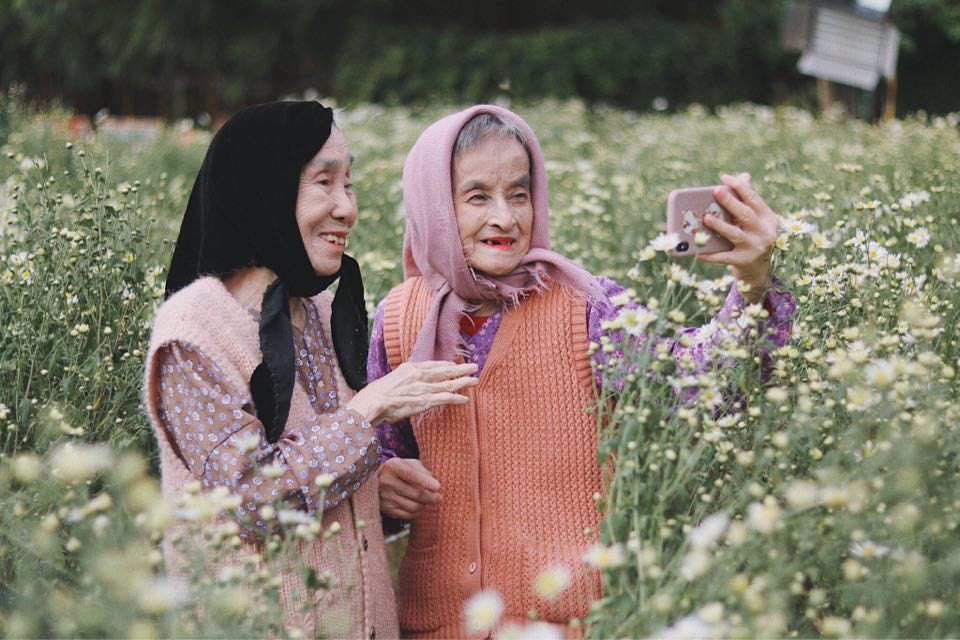 Bộ ảnh tình bạn già trong vườn hoa cúc họa mi gây sốt mạng xã hội - 6