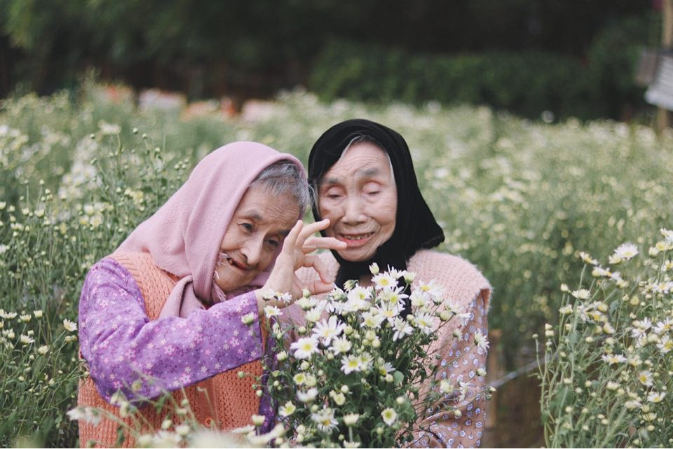 Bộ ảnh tình bạn già trong vườn hoa cúc họa mi gây sốt mạng xã hội - 7