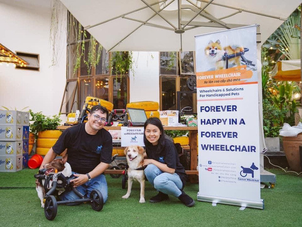  Sài Gòn: Những chú chó mèo khuyết tật hồi sinh bên cặp vợ Việt chồng Tây chuyên sản xuất xe lăn cho thú cưng - Ảnh 2.