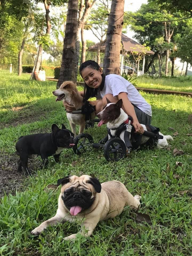  Sài Gòn: Những chú chó mèo khuyết tật hồi sinh bên cặp vợ Việt chồng Tây chuyên sản xuất xe lăn cho thú cưng - Ảnh 6.