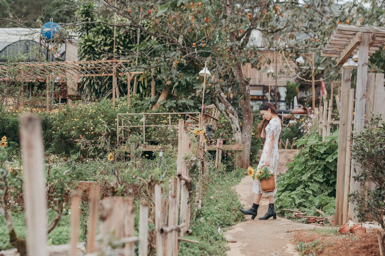 Cuộc sống an yên trồng rau, nuôi gà của cô gái Sài Gòn bỏ phố về quê - 12