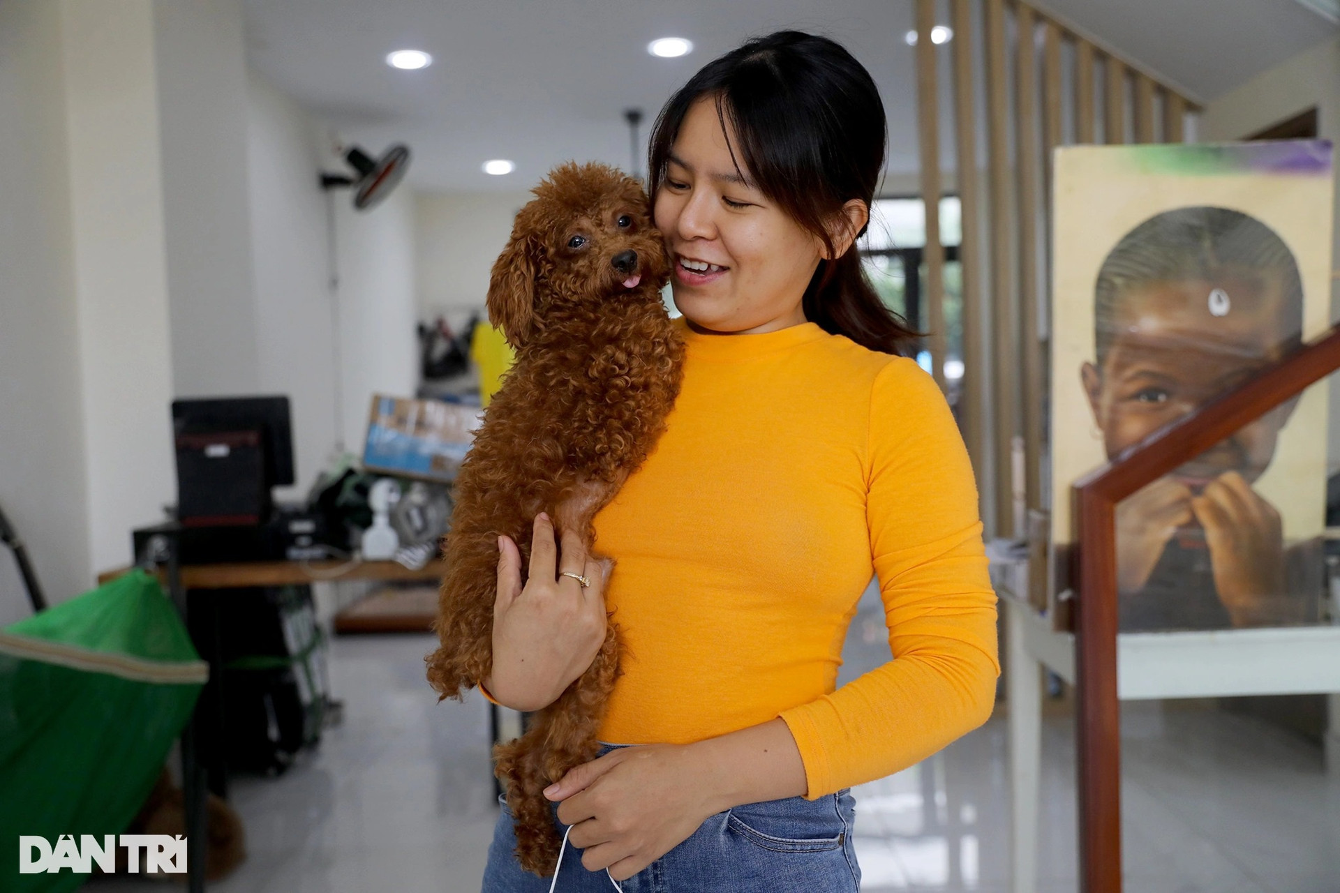 Cặp đôi vợ Việt chồng Tây chế tạo xe lăn cho hàng trăm chó mèo khuyết tật - 3