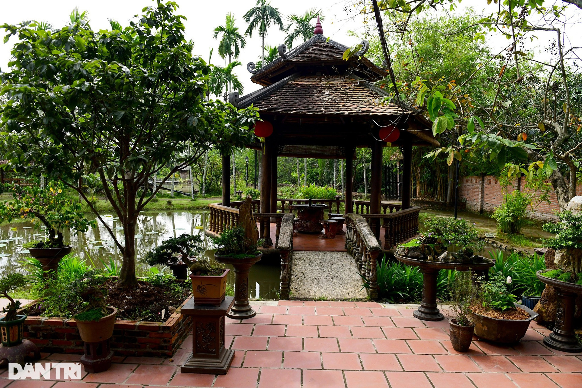 Khu nhà cổ mang kiến trúc Nam bộ xưa trị giá hơn 20 tỷ đồng ở Sài Gòn - 13