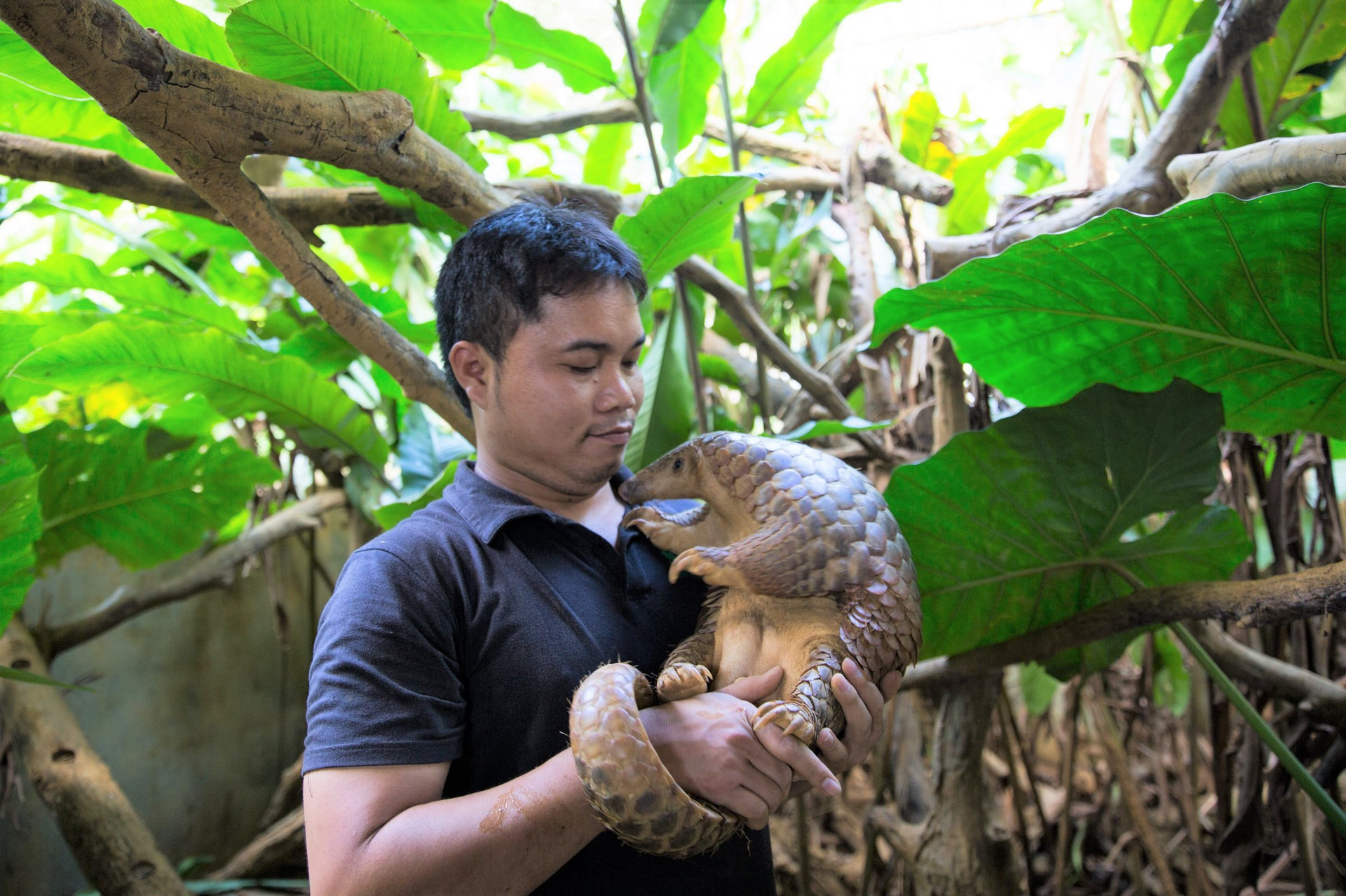 Chuyện về người rừng Việt Nam đạt giải Nobel xanh thế giới - 1
